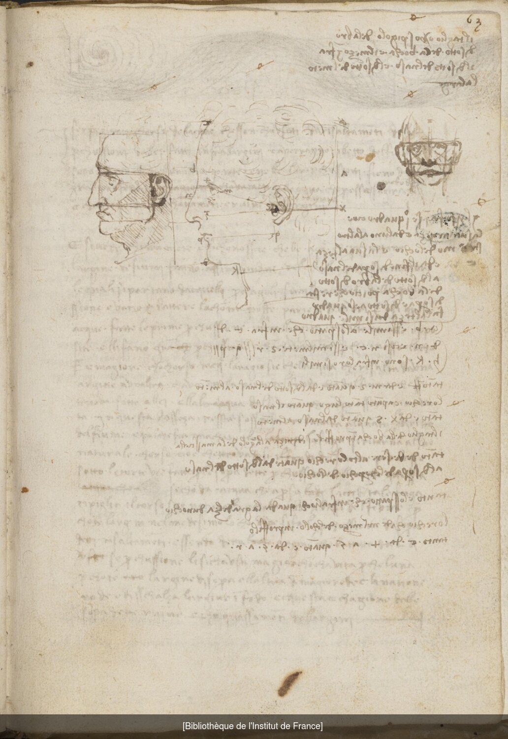 Ms 2172 (Manuscrit A), f. 63r : études sur les proportions de la tête du cheval et de la figure humaine.