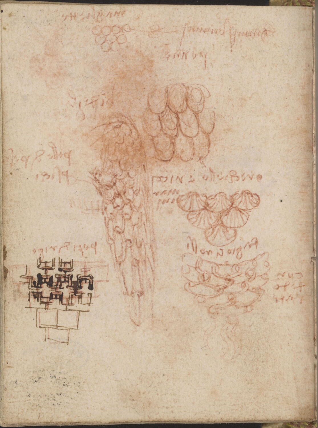 Ms 2180 (manuscrit I), C2, f. 47v : dessins d’ornements.
