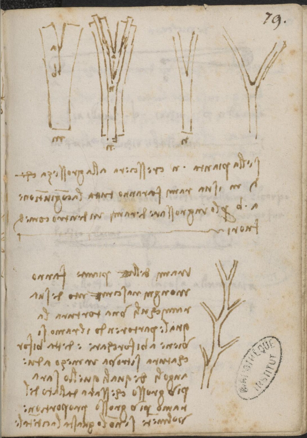 Ms 2183 (manuscrit M), f. 79r : étude de la croissance des arbres.